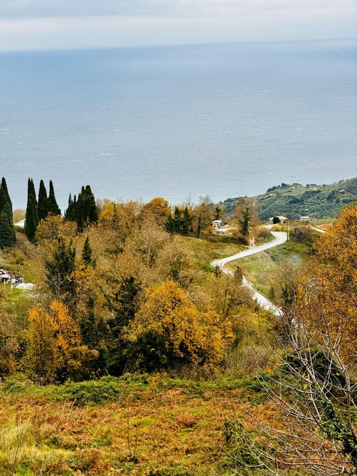 Luxury Villa At Pelion- Ruby Zagorá Kültér fotó